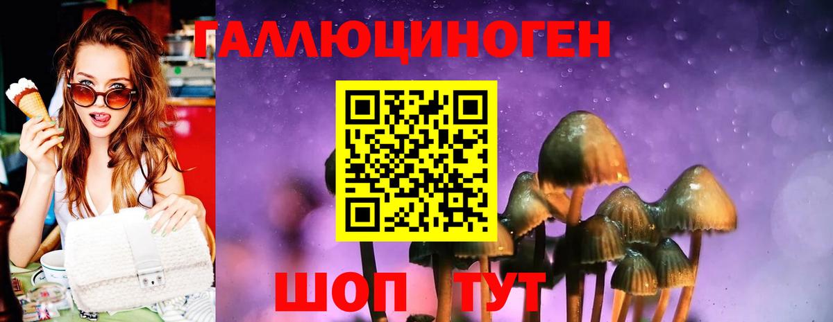 Галлюциногенные грибы Psilocybine cubensis  Вход с VPN  купить наркотики сайты  Дятьково 